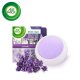 AIR WICK Gel Odorizant Stick-Up, Lavander, 2 Buc/Set, Parfum de Lavanda, Odorizant, Ideal pentru Spatii Mici, Odorizant de Camera, Set Odorizante AIR WICK, Odorizant Stick-up, Odorizant Gel Spatii Mici, Odorizant Parfum de Lavanda