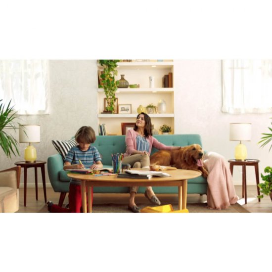 AIR WICK Set Aparat Freshmatic Complete Turquoise Oasis + Spray Odorizant de Camera, 250ml, Air Wick Spray, Parfum Floral, Spray tip Aerosol, Odorizant Camera, Odorizant Spray pentru Camera, Spray Odorizant, Odorizant cu Dispenser AIR WICK