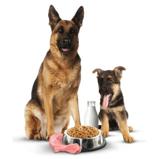 Hrana Uscata pentru Caini Chappi, Vita si Pasare, 500g, Hrana, Hrana Caini, Hrana Caini Chappi, Mancare pentru Caini Chappi, Hrana Caine, Hrana Caini, Hana pentru Caini, Hrana pentru Caine, Hrana Uscata pentru Caini