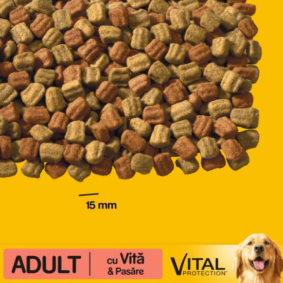 Hrana Uscata pentru Caini cu Vita si Pasare Pedigree, 10kg, Hrana Caini, Hrana Caini Pedigree, Mancare pentru Caini Pedigree, Hrana Caine, Hrana Caini, Hana pentru Caini, Hrana pentru Caine, Hrana Uscata pentru Caini