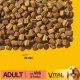 Hrana Uscata pentru Caini cu Vita si Pasare Pedigree, 10kg, Hrana Caini, Hrana Caini Pedigree, Mancare pentru Caini Pedigree, Hrana Caine, Hrana Caini, Hana pentru Caini, Hrana pentru Caine, Hrana Uscata pentru Caini
