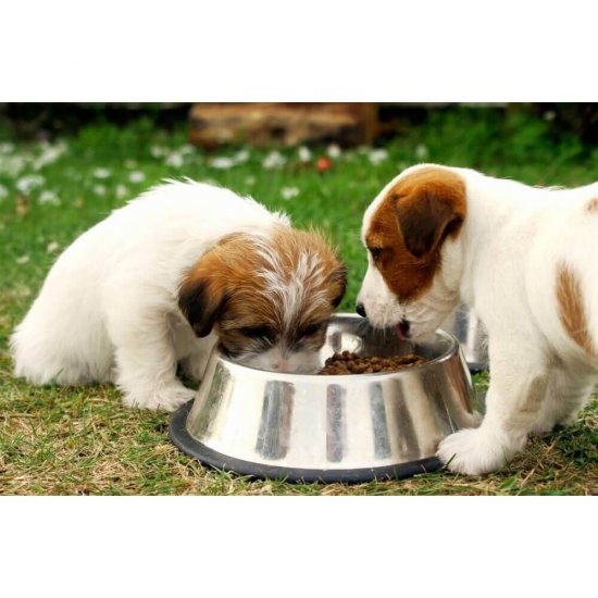 Hrana Uscata Caini de Talie Mica, Pedigree Junior,  400 g, Pui si Orez, Hrana Uscata Sac Pedigree, Hrana Juniori Uscata, Pedigree Junior Mancare Caini Sac,  Sac de Mancare Uscata