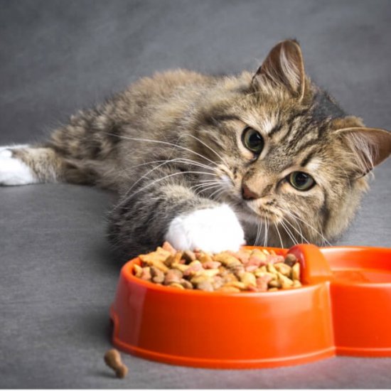 Hrana Uscata pentru Pisici cu Pui si Legume Kitekat, 12 kg, Hrana Pisici, Hrana pentru Pisici, Hrana Uscata Pisici, Hrana Uscata pentru Pisici, Hrana Animale, Hrana Pisici Kitekat, Hrana Uscata Kitekat, Hrana Uscata pentru Pisici Kitekat