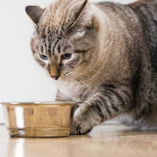 Hrana Uscata pentru Pisici cu Pui si Legume Kitekat, 12 kg, Hrana Pisici, Hrana pentru Pisici, Hrana Uscata Pisici, Hrana Uscata pentru Pisici, Hrana Animale, Hrana Pisici Kitekat, Hrana Uscata Kitekat, Hrana Uscata pentru Pisici Kitekat