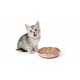 Plic Hrana Umeda pentru Pui de Pisici WHISKAS Junior, Carne de Pasare, 100 g, Hrana Pisici, Hrana Umeda Pui de Pisici, Hrana pentru Pui de Pisici, Hrana Umeda de Pasare, Hrana pentru Pui de Pisici Whiskas, Plic Hrana cu Pasare pentru Pui de Pisici