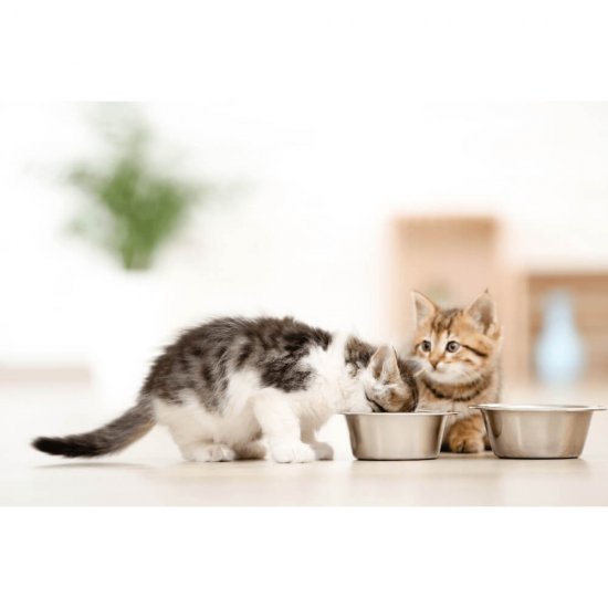 Plic Hrana Umeda pentru Pui de Pisici WHISKAS Junior, Carne de Pasare, 100 g, Hrana Pisici, Hrana Umeda Pui de Pisici, Hrana pentru Pui de Pisici, Hrana Umeda de Pasare, Hrana pentru Pui de Pisici Whiskas, Plic Hrana cu Pasare pentru Pui de Pisici