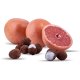 Deodorant Spray FA, Grapefruit & Lychee, 150 ml, 48 h Protectie, Formula Vegana, Deodorant Fa Fresh and Free, Deodorant Parfum de Citrice si Litchi, Deodorant Spray pentru Femei, Deodorant Parfumat, Deodorante Femei