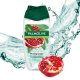Gel de Dus PALMOLIVE Naturals Pure Pomegranate, 500 ml, Parfum Rodie, Gel de Dus 500 ml, Gel de Dus Palmolive, Gel de Dus Hidratant, Geluri de Dus Hidratante, PALMOLIVE Gel de Dus, Produse de Ingrijire a Corpului