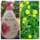 Sapun Lichid Intimo Sensitive DERMOMED, Cantitate 250 ml, Gel Intim, Sapun Intim Sensitive, Sapun Lichid Sensitive, Sapun Hidratant, Sapun Parfumat