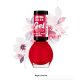 Lac de Unghii Miss Sporty Lasting Colour 540 Boys Love Me, 7 ml, Lasting Color Gel Shine Nail Polish, Lac de Unghii Gel, Lac de Unghii Rosu, Oja Rosie, Lac Gel de Unghi, Gel Lac de Unghi, Oje Rosii, Oja Gel, Oje Gel, Lac de Unghii Lucios