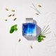 Apa de Toaleta pentru Barbati Antonio Banderas Blue Seduction, 50 ml, Parfum Barbati, Ape de Toaleta, Parfumuri Barbati, Apa Toaleta Antonio Banderas, Ape Toaleta Antonio Banderas, Apa Toaleta pentru Corp