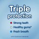 Pasta Dinti AquaFresh Triple Protection, 75 ml, Aroma de Menta, Pasta de Dinti Anticarii, Articole Igiena Dentara, Pasta pentru Ingrijirea Dintilor, Produse pentru Ingrjire Orala, Produse pentru Sanatate Orala, Igiena Orala, Ingrijire si Igiena Orala