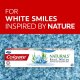 Pasta de Dinti Colgate Natural Extracts Seaweed, 75 ml, Colgate Natural Extracts Seaweed, Colgate Pasta de Dinti Natural Extracts Seaweed, Colgate Natural Pasta de Dinti Extracts Seaweed, Pasta de Dinti Anticarii, Pasta de Dinti de Albire
