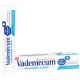 Pasta de Dinti VADEMECUM Advanced Clean, 75 ml, Pasta pentru Albirea Dintilor, Pasta de Dinti pentru Albire, Pasta de Dinti pentru Curatare Intensa, Pasta pentru Albirea Dintilor, Pasta de Dinti Vademecum