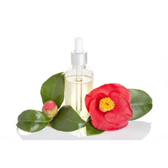 Sampon Par Uscat, 250 ml, Garnier Botanic Therapy Argan Oil & Camelia, Sampon pentru Par Normal spre Uscat, Sampon pentru Par Uscat, Sampon cu Ulei de Argan, Sampon Garnier, Sampon de Par Garnier, Sampoane pentru Par Uscat, Sampoane Garnier