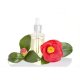 Sampon Par Uscat, 250 ml, Garnier Botanic Therapy Argan Oil & Camelia, Sampon pentru Par Normal spre Uscat, Sampon pentru Par Uscat, Sampon cu Ulei de Argan, Sampon Garnier, Sampon de Par Garnier, Sampoane pentru Par Uscat, Sampoane Garnier