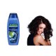 Sampon PALMOLIVE Anti-Dandruff, 350 ml,  Extract de Menta, Pentru Toate Tipurile de Par, Sampon pentru Par, Sampon pentru Par Normal, Sampon Palmolive, Sampone Palmolive, Sampon Antimatreata, Sampone Antimatreata, Sampon Menta