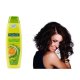 Sampon PALMOLIVE Fresh & Volume, 350 ml, Extract de Citrice, Sampon Par, Sampon Par Gras, Sampon Par Normal, Sampon Palmolive, Sampon Spalare Par, Sampon Fortifiere, Sampoane pentru Par Degradat, Sampon Ingrijire Par