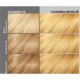 Vopsea de Par Permanenta LONCOLOR Expert AOE TECH 11, 130 ml, Blond Suprem, Vopsea Permanenta de Par LONCOLOR AOE TECH, Vopsea de Par Blond Deschis, Vopsea Blond Foarte Deschis, Produse de Ingrijire a Parului, Vopsea Nuanta Blonda cu Amoniac