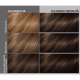 Vopsea de Par Permanenta LONCOLOR Expert AOE TECH 5.3, 130 ml, Saten Auriu Deschis, Vopsea de Par LONCOLOR AOE TECH, Vopsea de Par Saten Deschis, Vopsea pentru Par Saten Deschis, Produse de Ingrijire a Parului, Vopsea Nuanta Saten Colorare Par