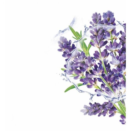 Masca Servetel Garnier Skin Naturals Moisture & Relaxing cu Lavanda, 28 g, Masca Servetel Relaxanta, Masca Hidratare Ten, Masca Servetel cu Lavanda, Masca de Fata Servetel, Masca Ten Servetel, Masca Fata cu Lavanda