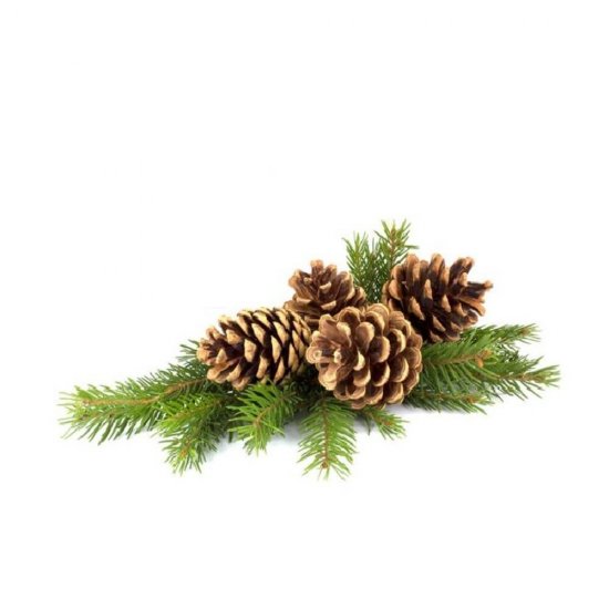 Rezerva Odorizant Peak WC Floare de Curatare, 45 g, Pin, Rezerva Peak WC Floare de Curatare, Rezerva Odorizant Peak WC Floare de Curatare, Rezerva Odorizant Vas Toaleta Peak Floare de Curatare, Odorizant WC Parfum de Pin