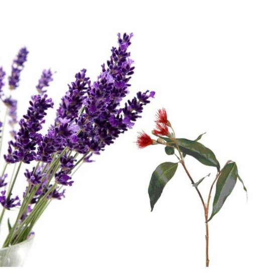 Odorizant Peak WC Floare de Curatare, 45 g, Lavanda si Eucalipt, Odorizant WC Peak Floare de Curatare, Odorizante Peak WC Floare de Curatare, Peak WC Floare de Curatare cu Parfum de Lavanda si Eucalipt