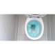 Gel Dezinfectant WC Peak, Pin, 750 ml, Gel Dezinfectant pentru WC, Gel Dezinfectant pentru Toaleta, Gel Dezinfectant pentru Vasul de Toaleta, Geluri Dezinfectante pentru WC, Geluri Dezinfectante pentru Toaleta
