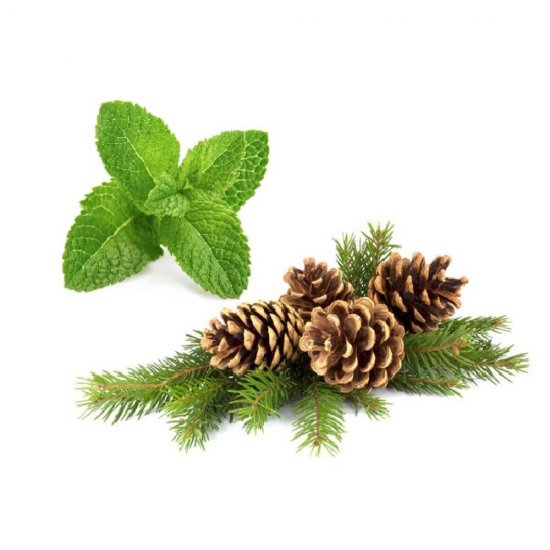 Rezerva Odorizant Peak WC Putere de Curatare, 40 g, Menta si Pin, Rezerva Peak WC Putere de Curatare Menta si Pin, Rezerva Odorizant Toaleta Peak WC Putere de Curatare, Rezerva Odorizant Vas de Toaleta Peak WC Putere de Curatare