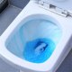 Odorizant pentru Toaleta General Fresh One Force Ocean, 40g, Parfum Marin, Odorizant Toaleta, Odorizant WC, Bloc Odorizant Toaleta, Odorizant Anticalcar pentru WC, Odorizant pentru Toaleta cu Suport, Bile Odorizante WC, Odorizant Dezinfectant pentru WC