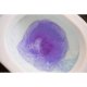 Odorizant de Toaleta Peak WC Apa Violet, 55 g, Parfum de Lavanda, Odorizant pentru Toaleta, Odorizant de Toaleta, Odorizant Toaleta, Odorizante Toaleta, Odorizante Solide de Toaleta, Odorizant Solid Toaleta, Odorizant WC, Odorizante WC