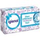 Sapun Antibacterian Igienol Fresh, 90 g, Igienol Sapun Antibacterian Fresh, Igienol Fresh Sapunuri Solide Antibacteriene, Sapun Dezinfectant pentru Maini, Sapun Antibacterian Hidratant pentru Maini, Sapun Solid Antibacterian Igienol