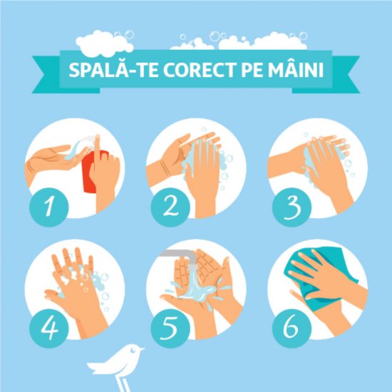 Sapun Dezinfectat pentru Maini Epicare 5C Ecolab, 5L, Sapun Dezinfectant pentru Maini, Sapuni Mani Ecolab, Sapun pentru Maini Ecolab, Sapun Dezinfectatn Profesional, Sapun Lichid Dezinfectant
