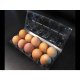 Cofraj Oua AGORA PLAST, 26x11x8 cm, 10 Oua, Transparent, Cofraj Oua, Suport Oua, Cofraje Oua, Cofraje din Plastic pentru Oua, Suport Plastic pentru Oua, Caserole pentru Oua, Cutie Plastic Depozitare Oua