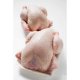 Tavite OTI din Polistiren, 210x165x23 mm, 100 Buc/Set, Tavite Alimentare Polistiren, Tavita Alimentara, Tavite Unica Folosinta pentru Carmangerii, Ambalaje Catering, Tavite Unica Folosinta, Tavite Mici, Tavite Pui, Tavite Polistiren