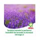 Detergent Capsule pentru Rufe ARIEL 3 in 1 Pods Lavender, 28 Capsule, Parfum de Lavanda, Detergent Capsule Ariel, Detergent Automat Capsule, Detergent Capsule pentru Haine, Detergent Capsule pentru Rufe, Capsule Detergent pentru Haine