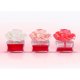 Odorizant de Camera Magic Flower BRAIT Lovely Sweet Berries, Cantitate 75 ml, Floare Parfumata, Odorizant de Camera, Odorizant Brait, Odorizant Floare, Odorizant de Camera Floare Parfumata