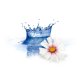 Rezerva Odorizant GLADE Sense & Spray, Ocean Adventure, 18 ml, Rezerva Odorizant Camera, Odorizant Glade Ocean Adventure, Rezerva Odorizant Glade Sense & Spray, Rezerva Glade Sense & Spray Ocean Adventure, Rezerva Ocean Adventure 18 ml