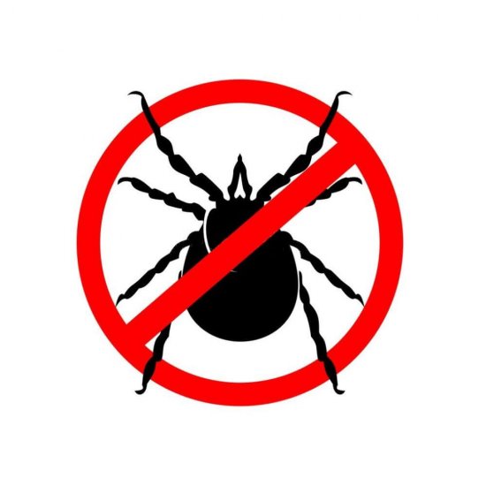 Gel Insecticid Aroxol Lavanda, 4 Buc, Importiva Moliilor si Acarienilor, Gel Importiva Moliilor si Acarienilor, Gel Insecticid Importiva Moliilor si Acarienilor, Gel Anti Molii si Acarieni, Gel Insecticid Anti Molii si Acarieni