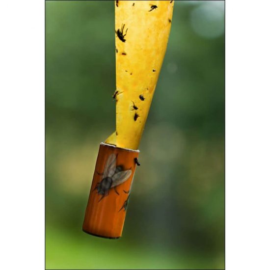Capcana Rola cu Adeziv Impotriva Mustelor, Aroxol, Fara Insecticid, 4 Buc, Rola pentru Muste Aroxol, Rola cu Adeziv pentru Muste, Set de Role Ieftine pentru Muste, Set de Capcane Rola, Set Capcane Muste, Set Capcane Aroxol Muste