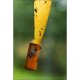 Capcana Rola cu Adeziv Impotriva Mustelor, Aroxol, Fara Insecticid, 4 Buc, Rola pentru Muste Aroxol, Rola cu Adeziv pentru Muste, Set de Role Ieftine pentru Muste, Set de Capcane Rola, Set Capcane Muste, Set Capcane Aroxol Muste
