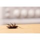 Insecticid Spuma Impotriva  Gandacilor si Furnicilor, Aroxol, 300 ml, Insecticide Spuma pentru Insecte, Spuma pentru Furnici, Spuma Insecticid pentru Furnici, Aroxol Spuma Furnici, Aroxol Spuma pentru Gandaci, Spuma pentru Gandaci