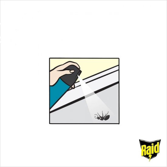 Spray Raid Muste si Tantari, 600 ml, Insecticid, Spray Insecticid, Solutie pentru Muste si Tantari, Solutie Pulverizatoare pentru Tantari, Spray pentru Tantari, Solutie Anti Tantari, Solutii Insecticide, Spray Anti Tantari