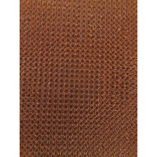 Covoras Usa KLIP, 60x40 cm, Portocaliu, Covorase Intrare KLIP, Covoras Plastic pentru Usa, Pres Usa, Presuri Intrare, Covorase Intrare si Presuri, Presuri pentru Curte si Gradina, Presuri Exteriori