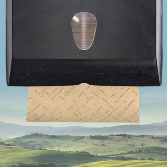 Prosoape Hartie Pliate, 2 Straturi, 190 Foi/Pachet, 21x21 cm, 20 Pachete/Bax, Culoare Natur, Prosoape Unica Folosinta Lucart V Eco Natural, Prosoape Hartie pentru Maini, Prosoape Pliate din Hartie, Prosoape de Unica Folosinta, Prosoape Pliate de Bucatarie