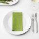 Servetele Verde Deschis din Hartie FLUFFY, 150 Buc/Set, 33x33 cm, 2 Straturi, Servetele Verde Deschis, Servetele Verde Deschis de Masa, Servetele Verde Deschis de Hartie, Servetele de Masa, Servetele Uscate, Set Servetele, Servetele Simple