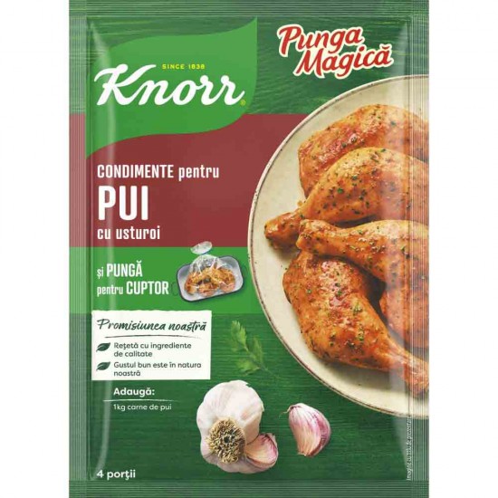 Punga Magica Knorr cu Condimente, pentru Friptura de Pui cu Usturoi, 25 g