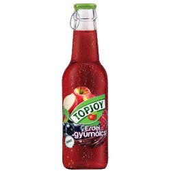 Suc Topjoy cu Fructe de Padure, 250 ml Suc Topjoy cu Fructe de Padure, 250 ml