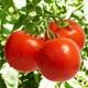 Rosii Pasate Riscossa in Suc Propriu, 400 g