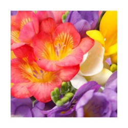 Servetele Lindy Frezii, Dimensiune 33x33 cm, 3 Straturi, 20 Foi/Pachet